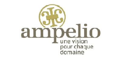 Ampelio - Gilles Huard Consultant SEO Angers